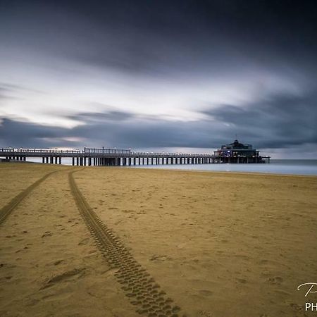 Studio Mare Nostrum Blankenberge Zewnętrze zdjęcie